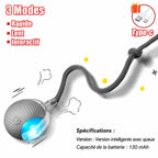 Balle Interactive Intelligente pour Chat HappyPets
