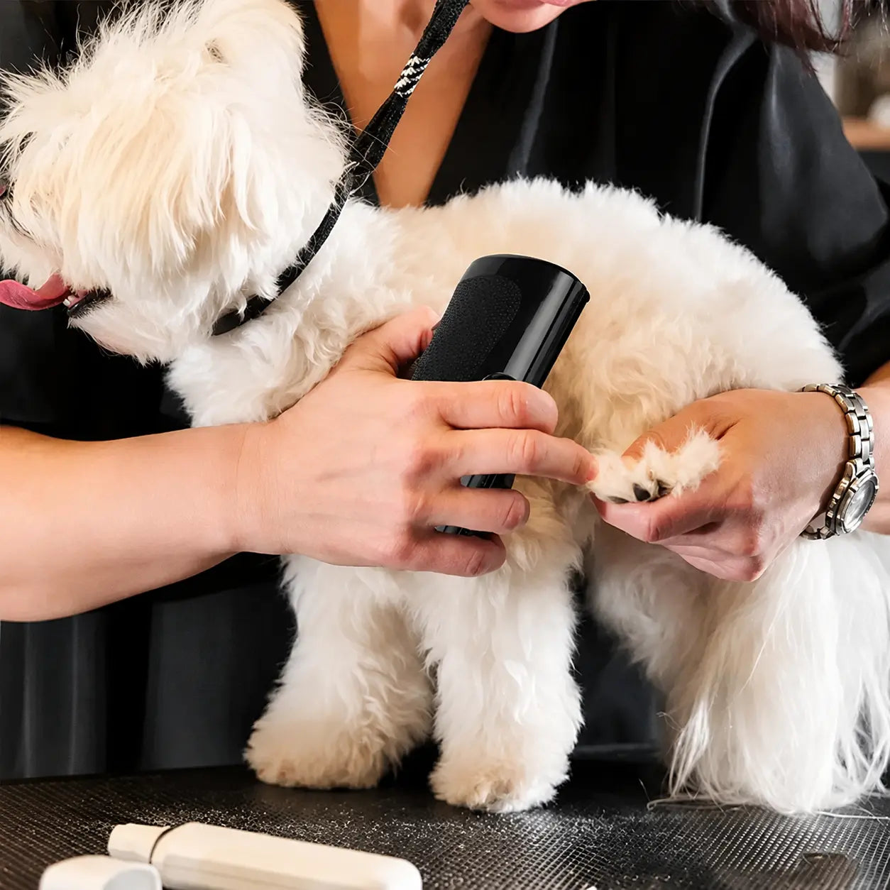 Brosse de toilettage multifonction pour chien et chat
