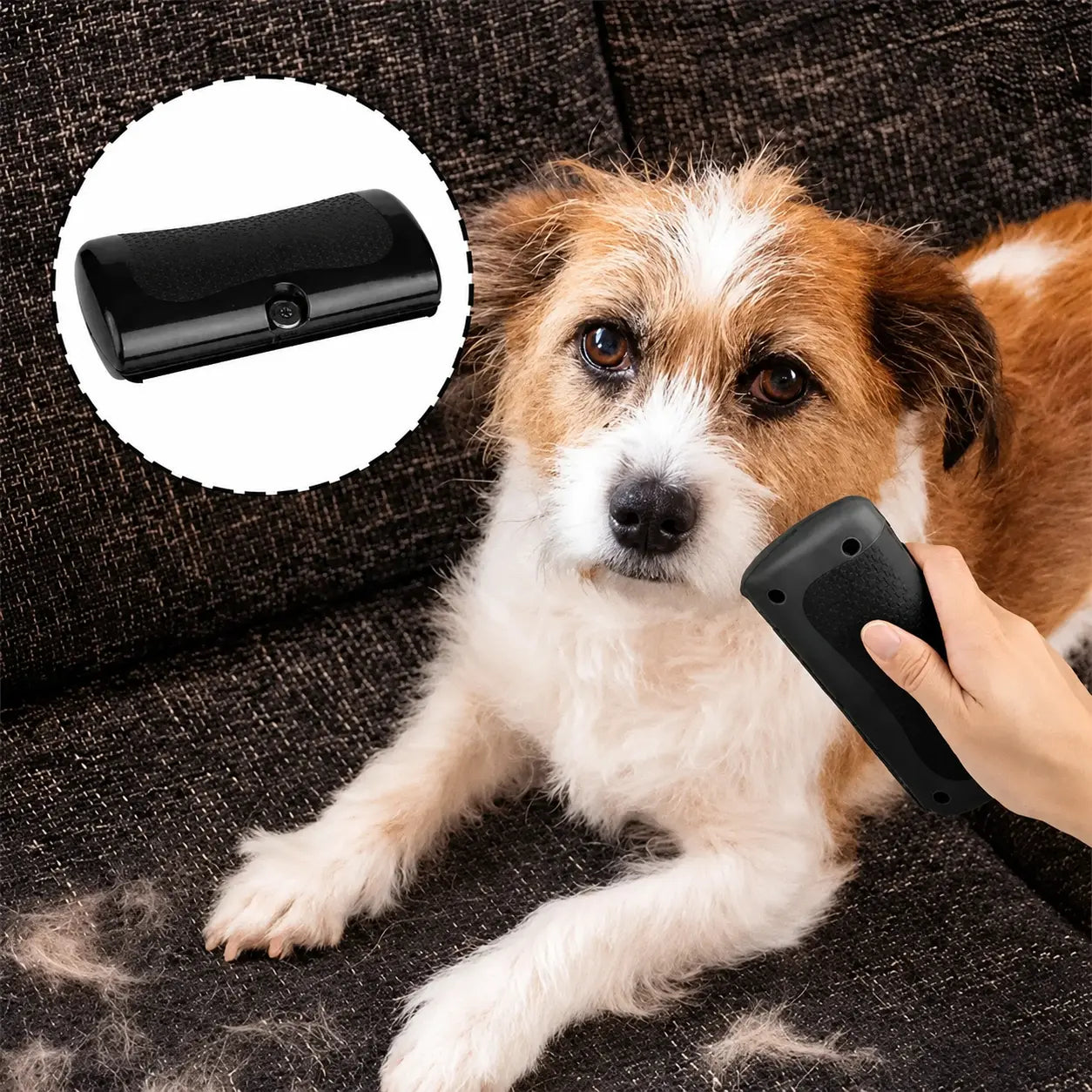 Brosse de toilettage multifonction pour chien et chat