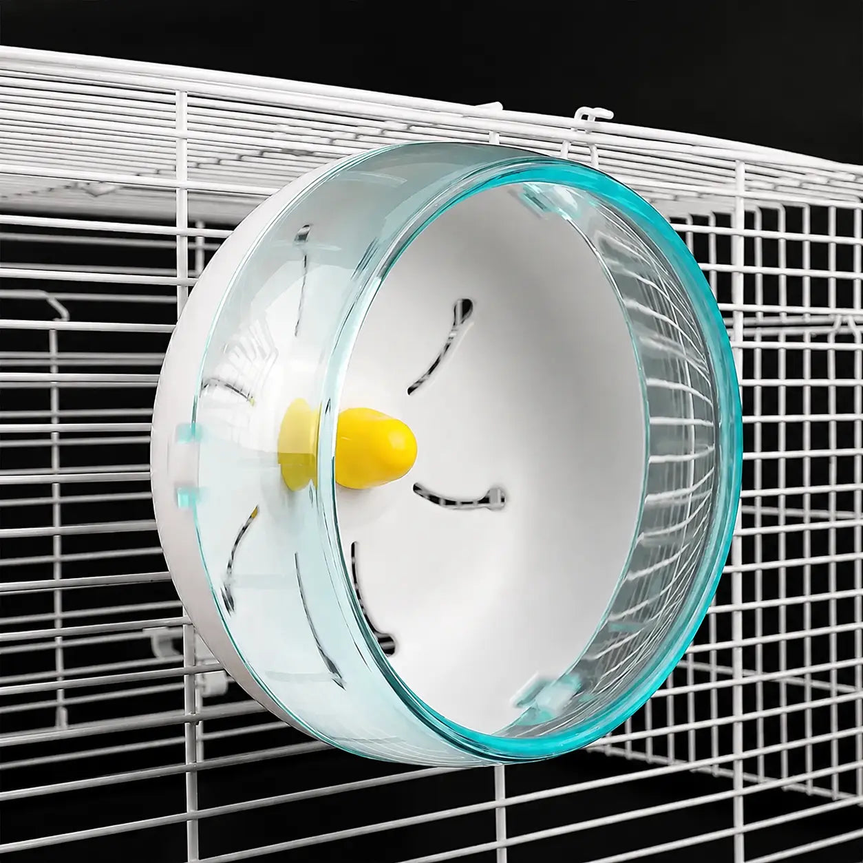 Roue d’Exercice Silencieuse Transparente pour Rongeurs