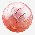 Boule d’Exercice pour petits rongeurs