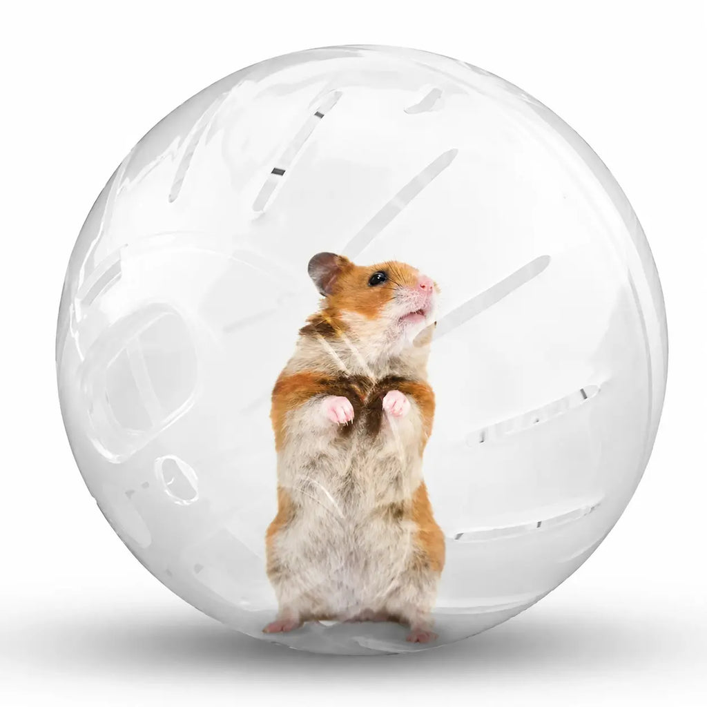 Boule d’Exercice pour petits rongeurs