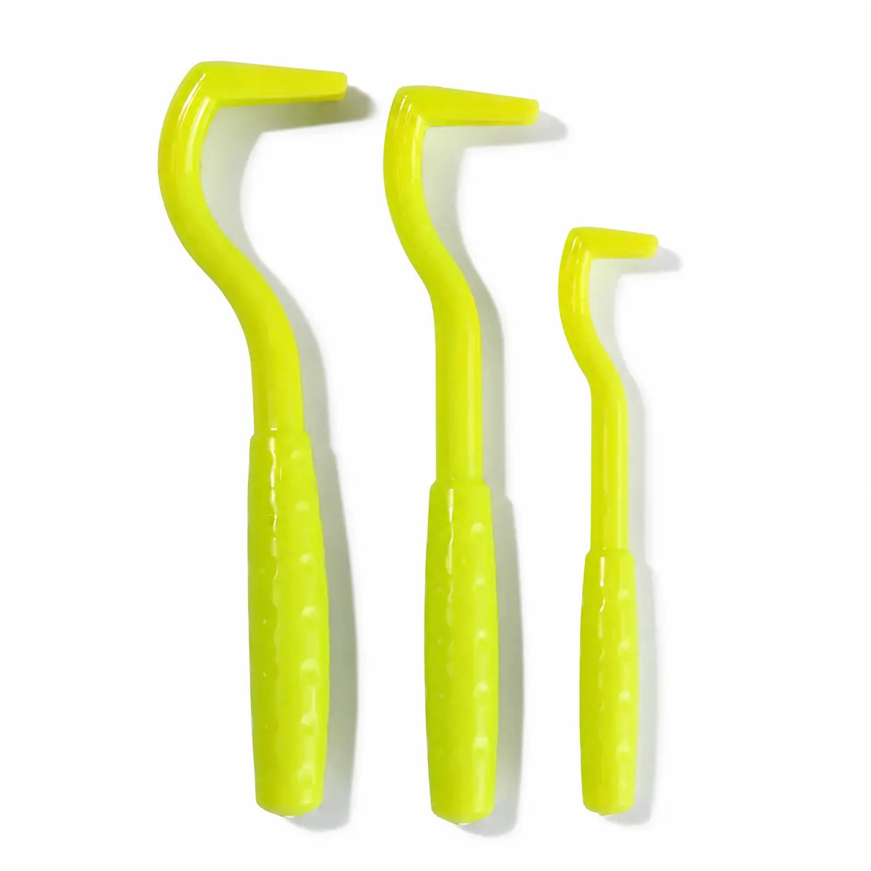 Lot de 3 tire-tiques pour chiens et chats