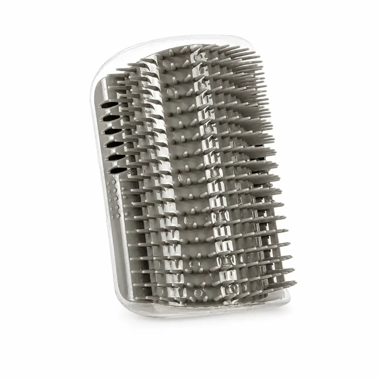 Brosse murale pour chat