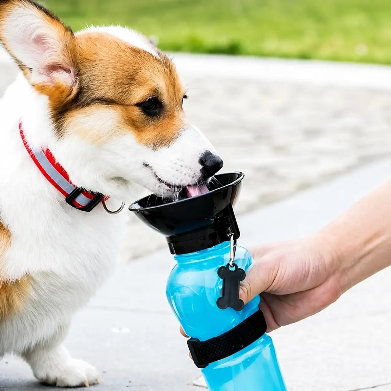 Gourde Portable 500 ml pour Chien et Chat HappyPets